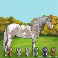 Horse Color:White Spotted Silver Brown Dun Mushroom Varnish 