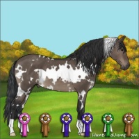 Horse Color:White Spotted Brown Dun Mushroom 