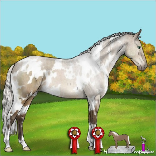 Horse Color:White Spotted Silver Buckskin Dun Mushroom Brindle