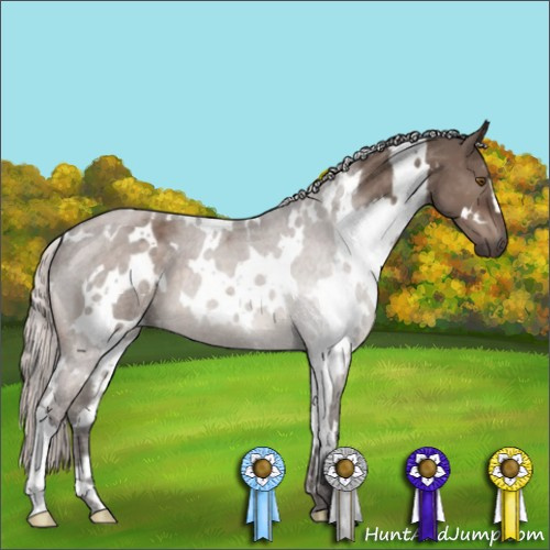 Horse Color:White Spotted Silver Brown Dun Mushroom 