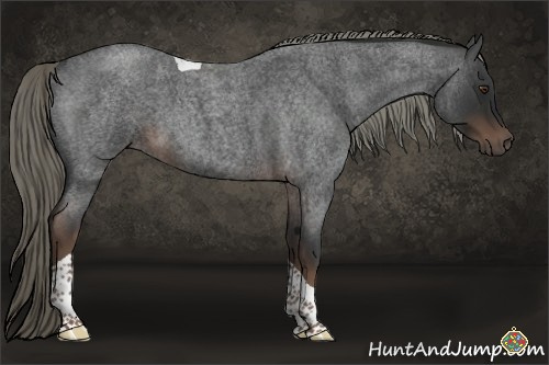 Horse Color:Liver Red Roan Mushroom Tobiano 