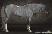 Horse Color:Liver Red Roan Mushroom Tobiano 