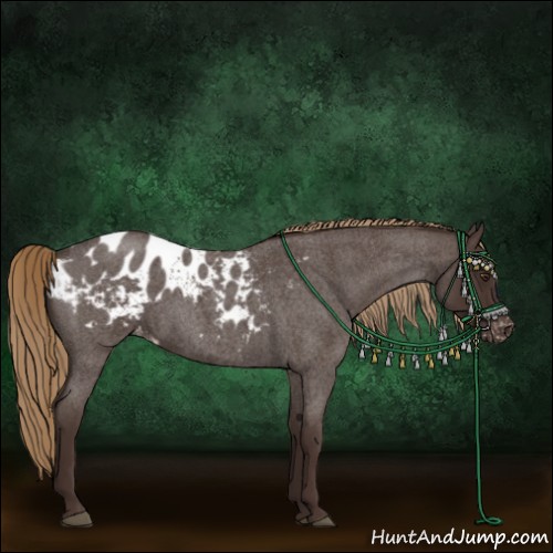 Horse Color:Liver Red Roan Sabino Blanket