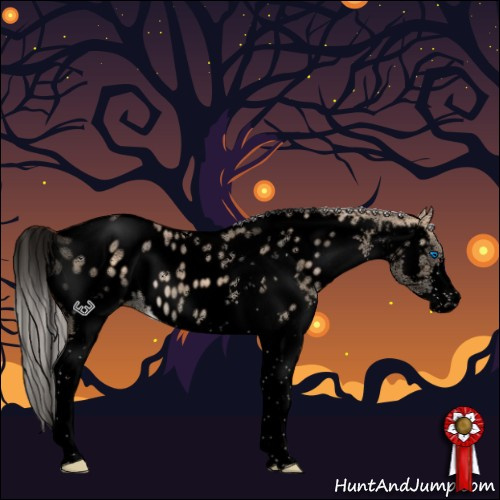 Horse Color:Void Silver Bay Ice Dun Splash Tobiano Appaloosa 