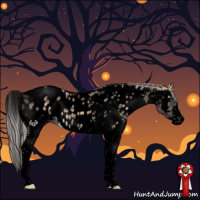 Horse Color:Void Silver Bay Ice Dun Splash Tobiano Appaloosa 