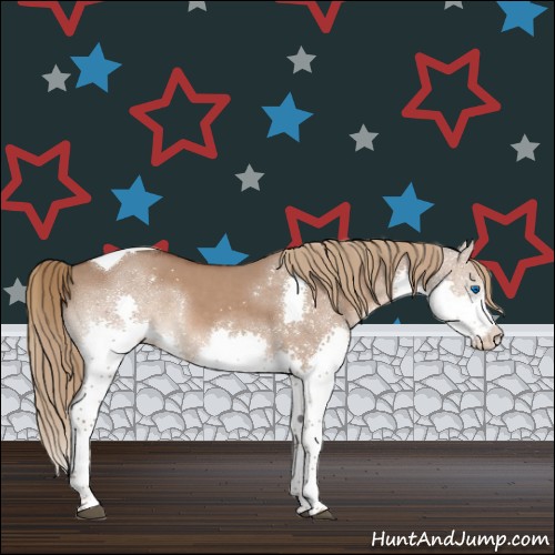 Horse Color:Liver Red Dun Splash Tobiano 
