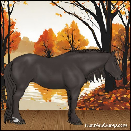 Horse Color:Smoky Black and Smoky Black