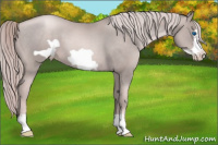 Horse Color:Platinum Liver Chestnut Pearl Frame