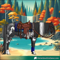 Horse Color:White Spotted Black 