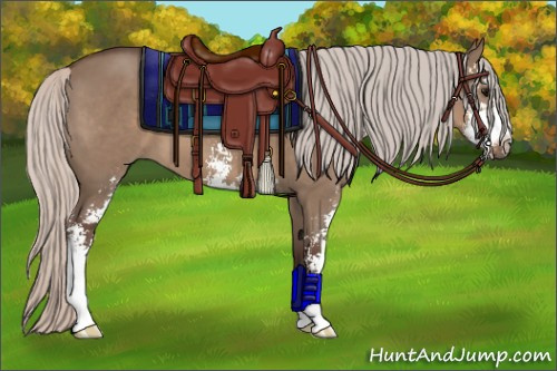 Horse Color:Silver Grullo Sabino 