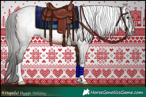 Horse Color:Gray Bay 