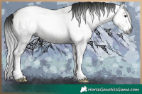 Horse Color:Gray Grullo Roan Sabino Splash Rabicano 
