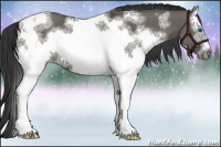 Horse Color:White Spotted Grullo Tobiano Frame 