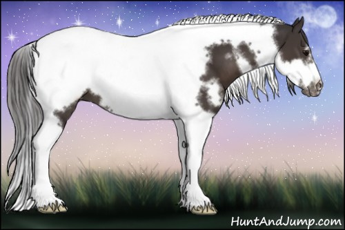 Horse Color:White Spotted Smoky Black Tobiano Frame