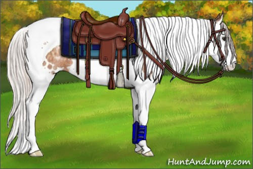 Horse Color:White Spotted Silver Brown Ice Splash Tobiano 