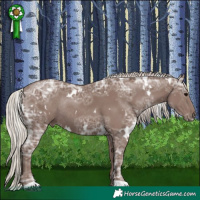 Horse Color:White Spotted Silver Black Ice Rabicano 
