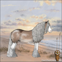 Horse Color:Liver Red Dun Mushroom Splash 