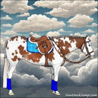 Horse Color:White Spotted Silver Bay Splash