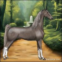 Horse Color:Silver Black 
