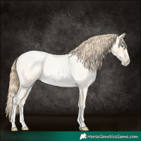 Horse Color:Buckskin Roan Pearl and Buckskin Roan Pearl Splash