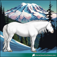 Horse Color:Silver Brown Dun Appaloosa 