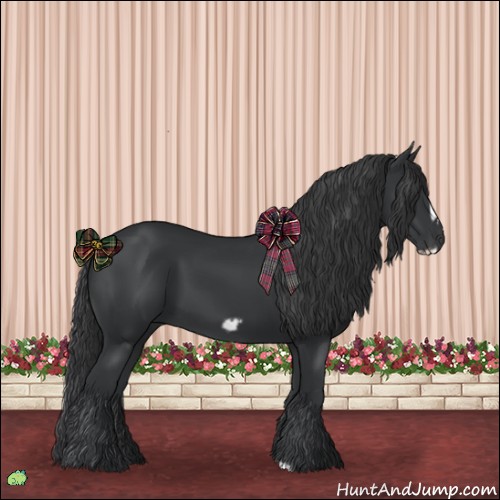 Horse Color:Black Frame 
