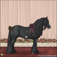 Horse Color:Black Frame