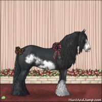 Horse Color:Black Frame 
