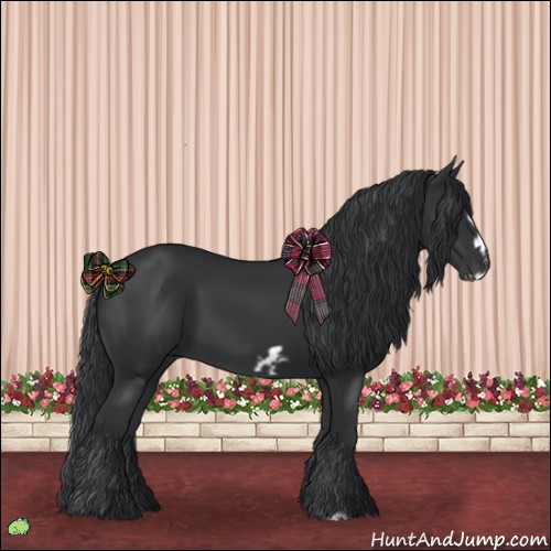 Horse Color:Black Frame 
