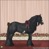 Horse Color:Black Frame 