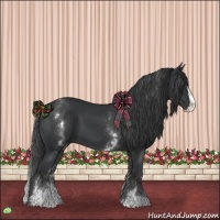 Horse Color:White Spotted Black Splash