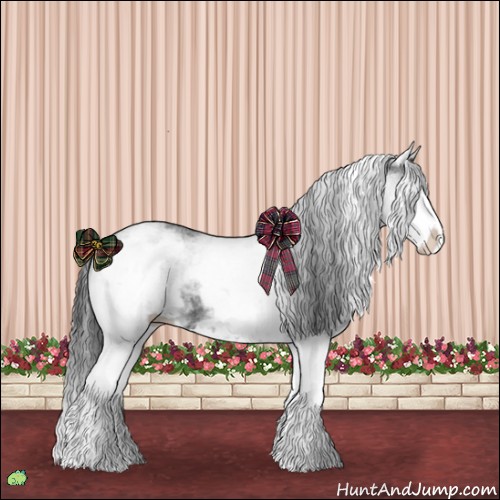Horse Color:White Spotted Black Splash 