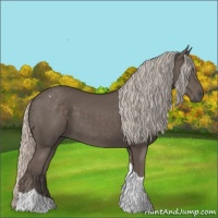 Horse Color:Silver Black Tobiano 