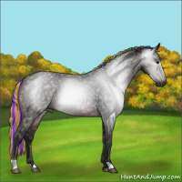 Horse Color:Gray Painted Silver Brown