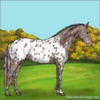 Horse Color:Painted Silver Brown Ice Appaloosa 