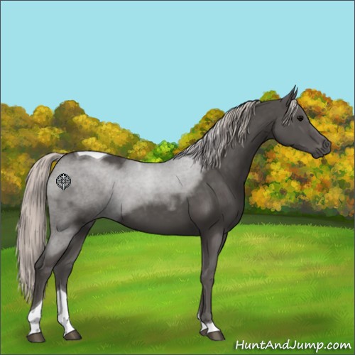 Horse Color:Silver Black Tobiano