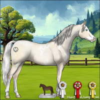 Horse Color:White Spotted Silver Classic Cream Champagne Pearl Sabino Splash Snowflake Varnish