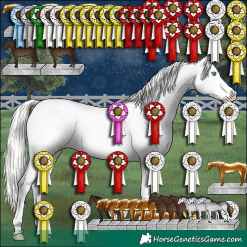 Horse Color:White Spotted Silver Classic Cream Champagne Pearl Sabino Splash Appaloosa 