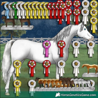 Horse Color:White Spotted Silver Classic Cream Champagne Pearl Sabino Splash Appaloosa 