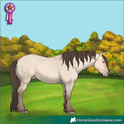 Horse Color:Amber Champagne Dun 