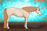Horse Color:Buckskin Pearl Splash 