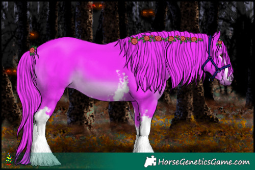 Horse Color:Watercolor White Spotted Liver Chestnut 