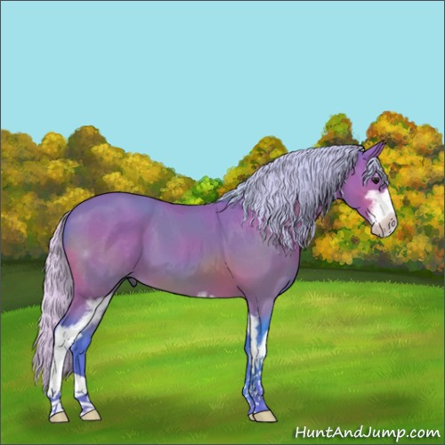 Horse Color:Watercolor Silver Bay Sabino 