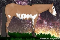 Horse Color:Bay Splash Frame 