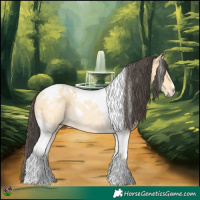 Horse Color:Buckskin Dun Tobiano Rabicano