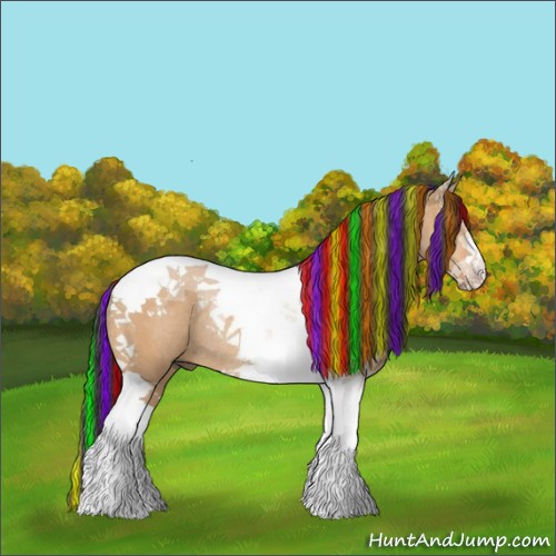 Horse Color:Painted Bay Dun Tobiano Rabicano 