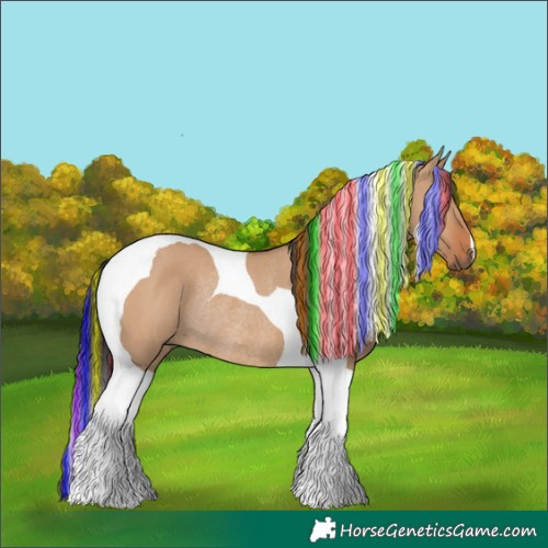 Horse Color:Painted Bay Dun Tobiano Rabicano 