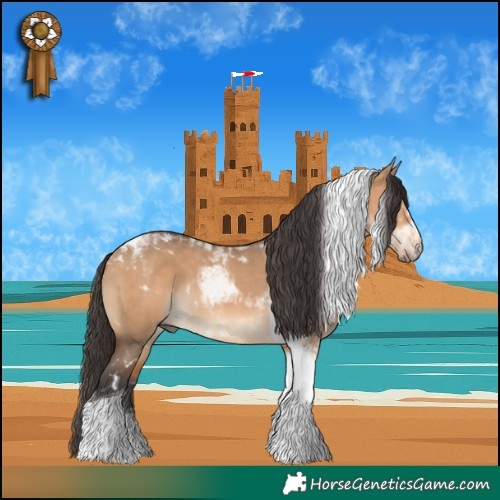 Horse Color:Bay Dun Tobiano 