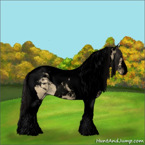 Horse Color:Void Buckskin Dun Tobiano 