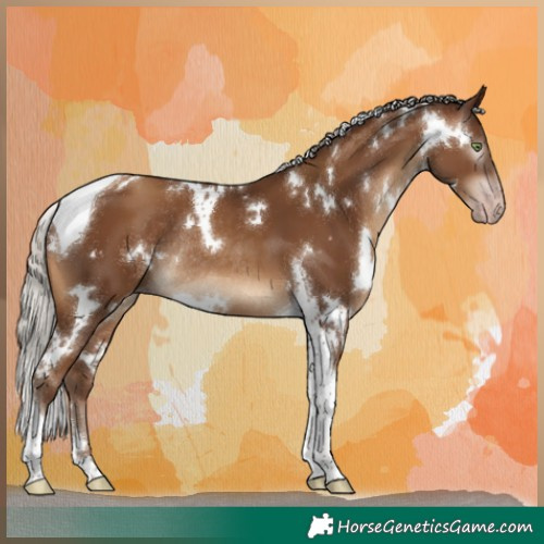 Horse Color:Gray White Spotted Silver Sable Champagne Tobiano Rabicano 